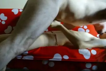 Skandal ABG Bispak Jakarta Live Di Hotel Bintang